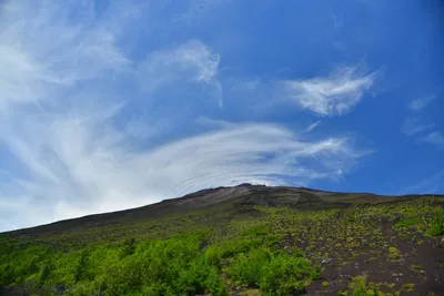 DSC_3633 (Large).JPG